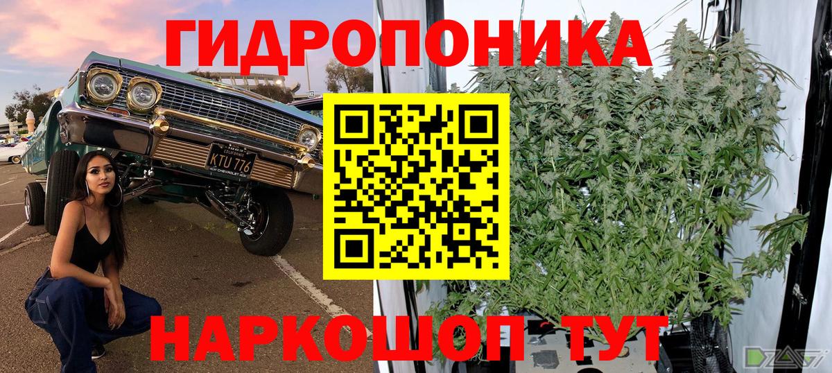 Бошки Шишки VHQ  Конопля сатива  Канабис AK-47  Калининград  Вход с VPN 